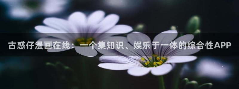韩漫最好看的漫画大全