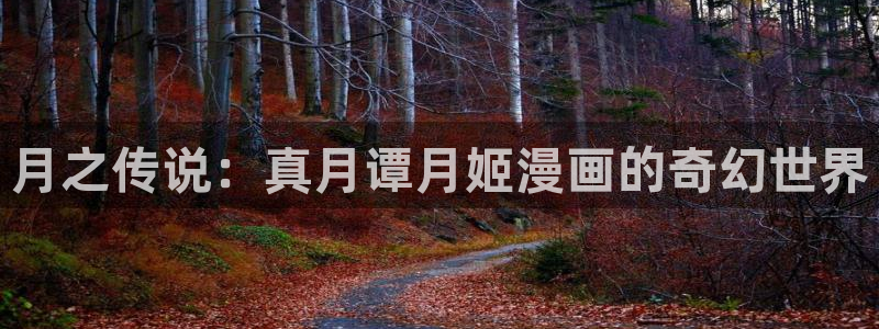 怎样才能看韩漫