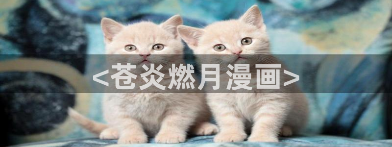 美丽新世界韩漫画无删减