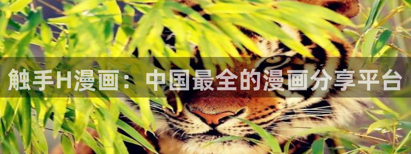 看韩漫有什么免费的
