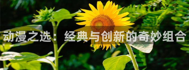 韩漫免费观看歪歪漫画