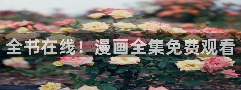 阿姨漫画韩漫