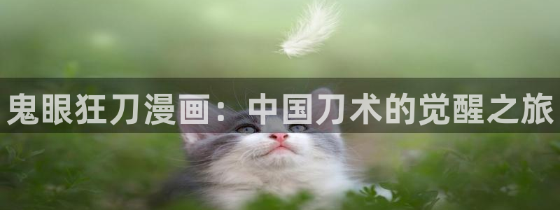 51韩漫在线
