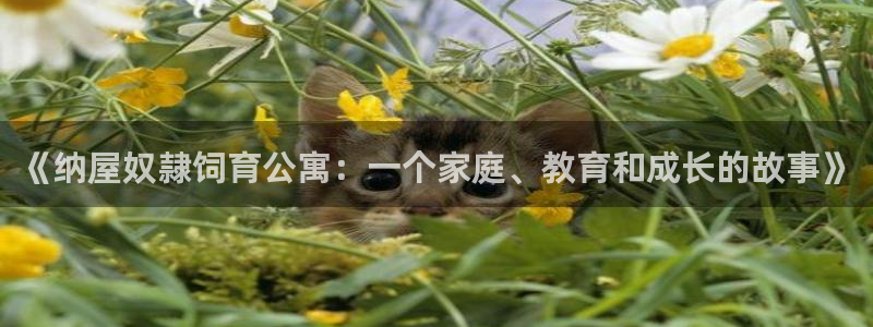 韩漫画在线免费入口