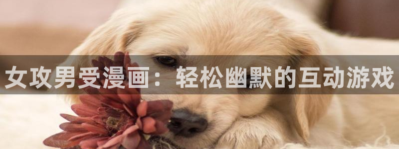 韩漫免费资源大全