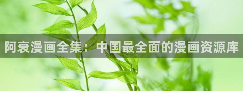 黄色韩漫网站