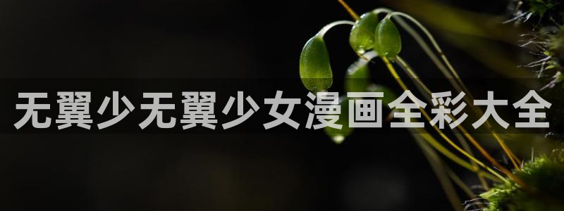 韩漫千金漫画大全免费观看