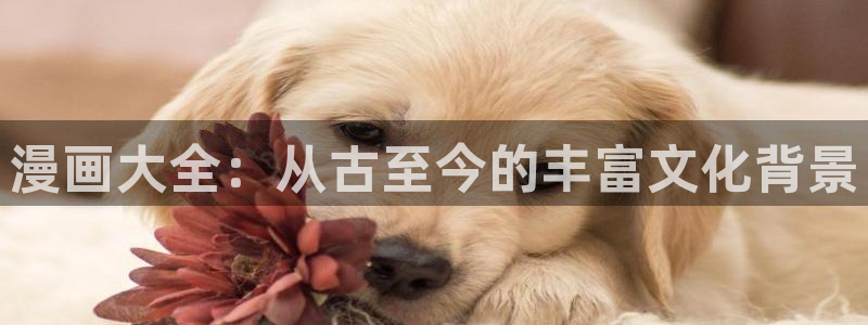 超级公务员韩漫画免费阅读