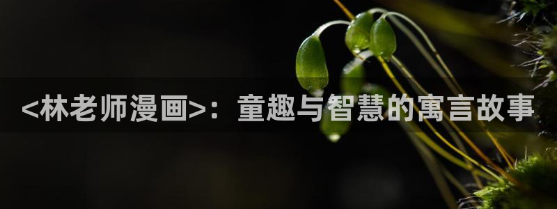 第一韩漫漫画首页登入