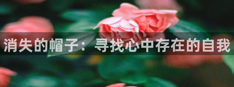 韩漫画网站免费