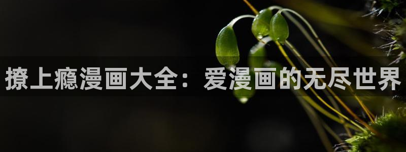 韩漫免费动漫大全